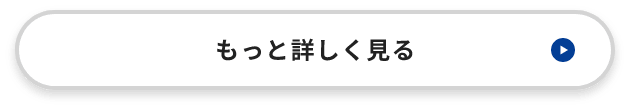 もっと詳しく見る